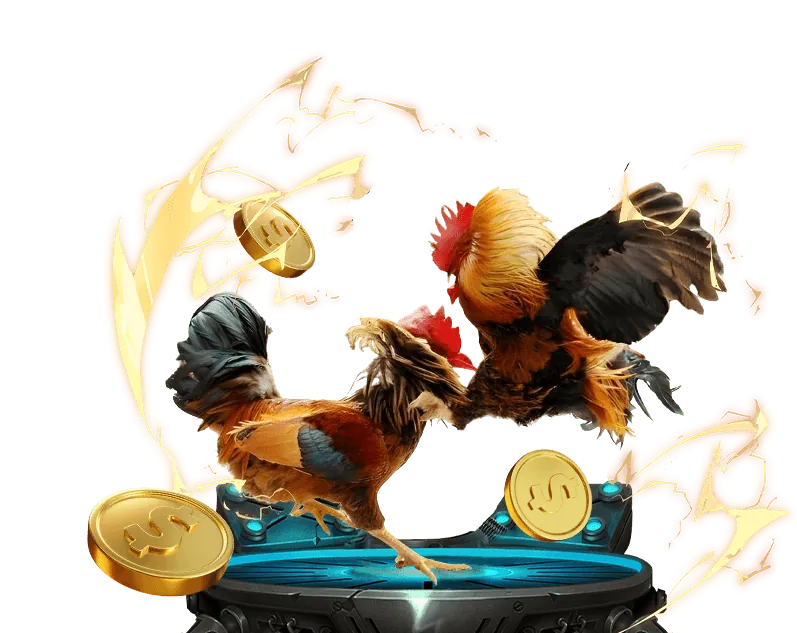 Giải đấu đá gà